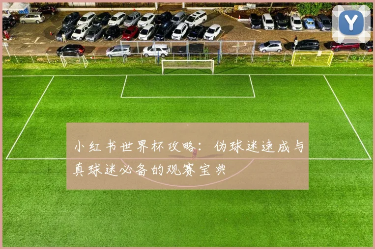 小红书世界杯攻略：伪球迷速成与真球迷必备的观赛宝典