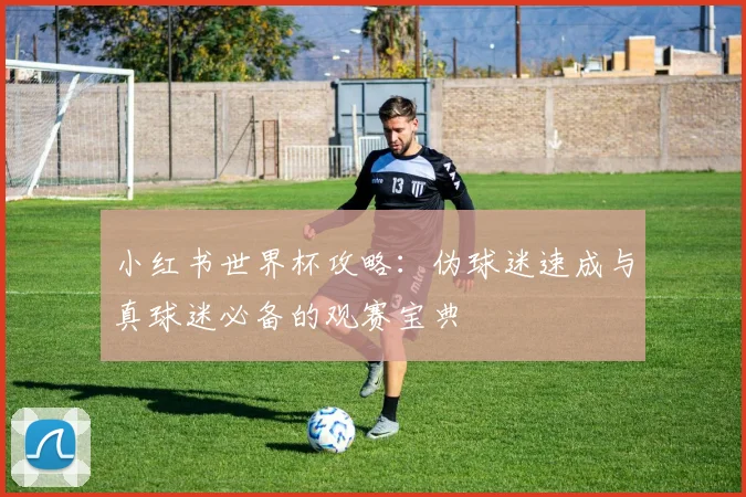 小红书世界杯攻略:伪球迷速成与真球迷必备的观赛宝典